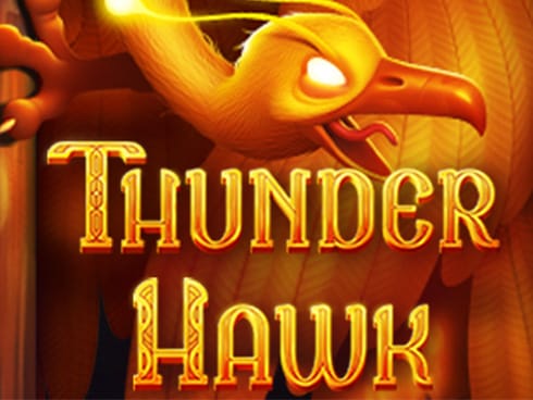 تھنڈر ہاک game thumbnail